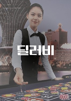 딜러비